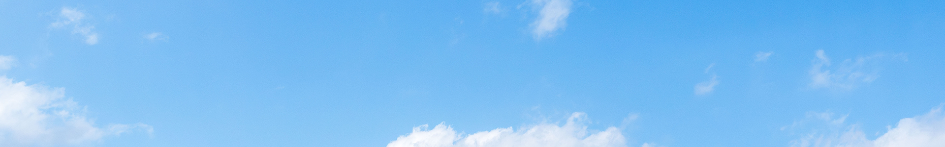 一般社団法人 障害者地域生活支援会